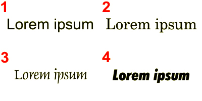 This image shows the term lorem ipsum which is used in publishing as a placeholder to show the graphical nature of a font or the spacial layout of a page.