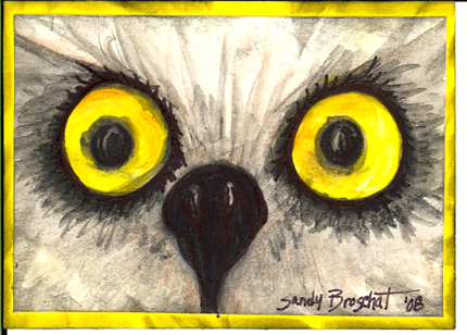 This picture shows an extreme closeup of an owl's (the bird) face, accentuating the large eyes.
