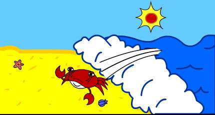 This image is of a beach scene. A crab is being washed onto the beach shore.