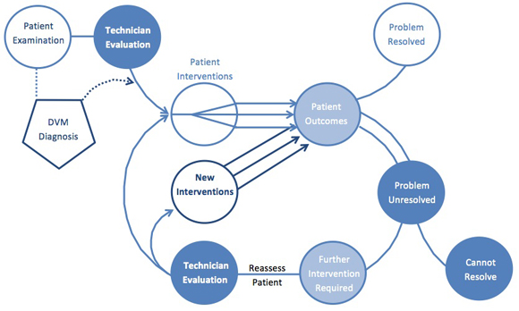 This image illustrates how to reassess a patient. 